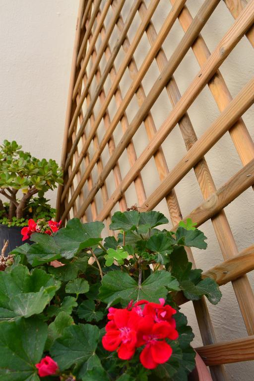 Anatolia Guest House La Canea Exterior foto